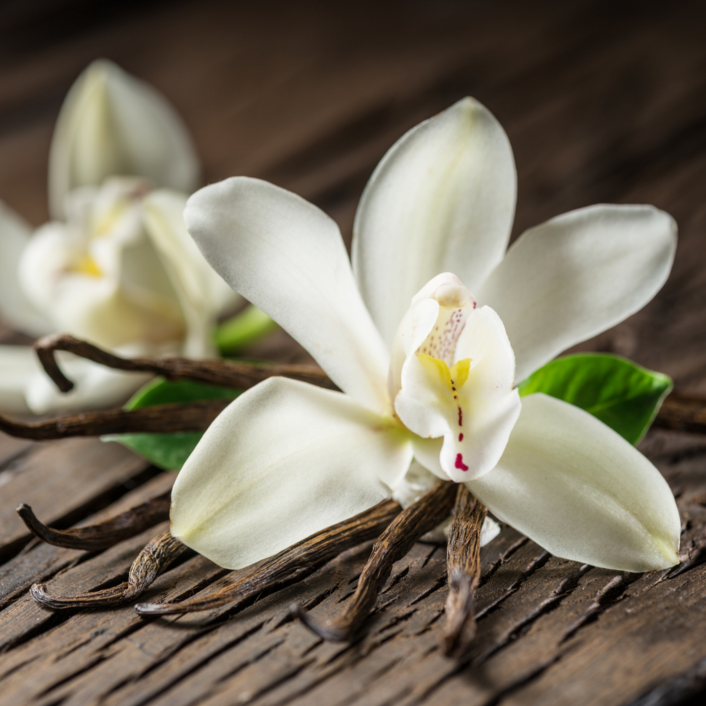 Les notes gourmandes décryptées : pourquoi on adore ces parfums ?